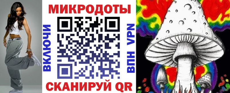 где продают   Цивильск  Псилоцибиновые грибы Psilocybine cubensis 